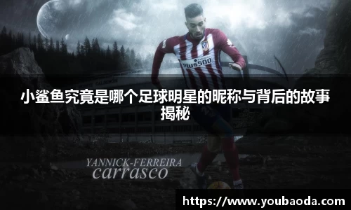 小鲨鱼究竟是哪个足球明星的昵称与背后的故事揭秘
